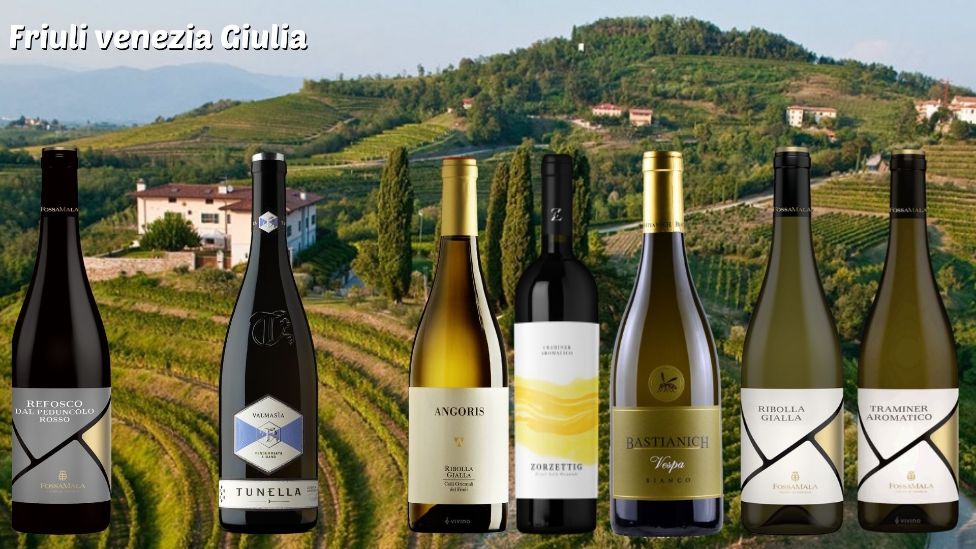 vini del friuli venezia giulia