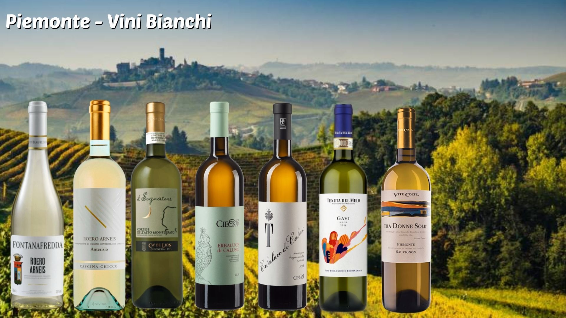 scheda vini bianchi piemonte