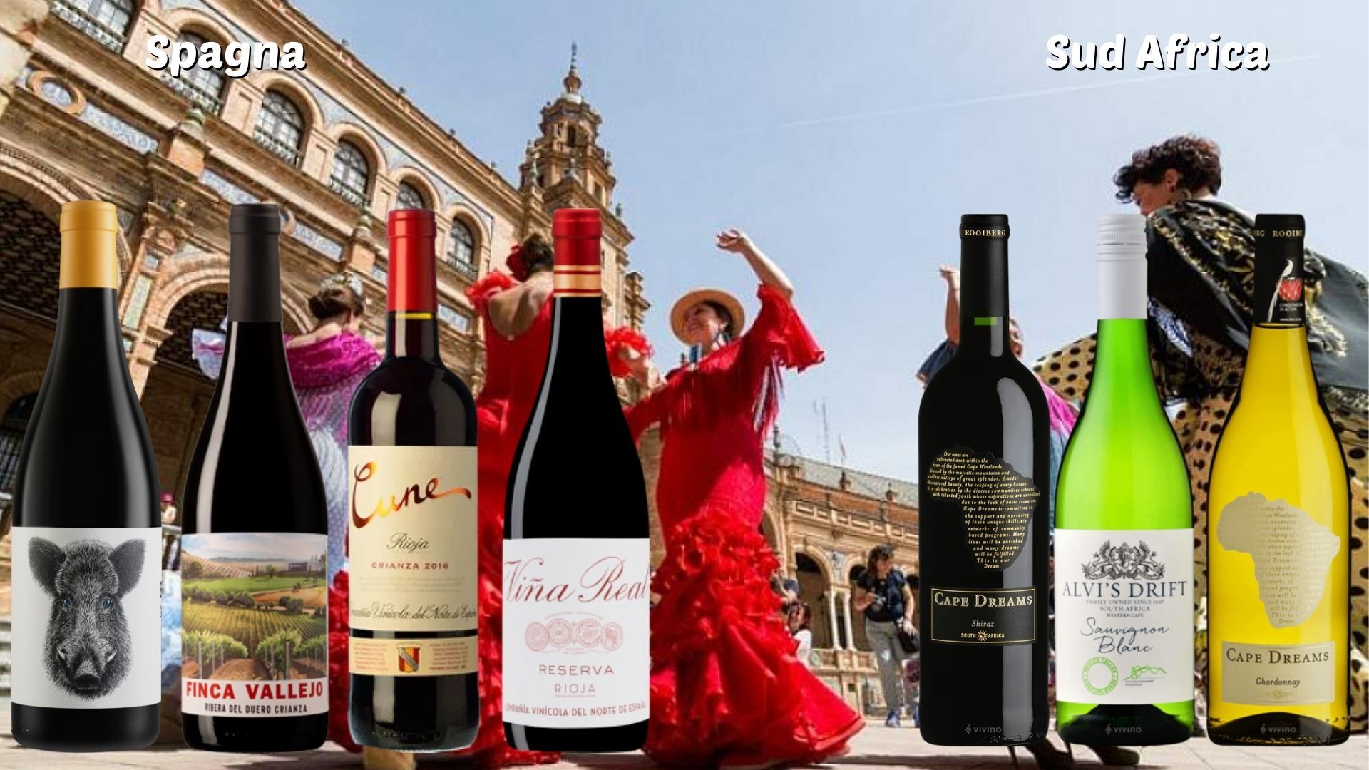 scheda vini spagna - sudafrica