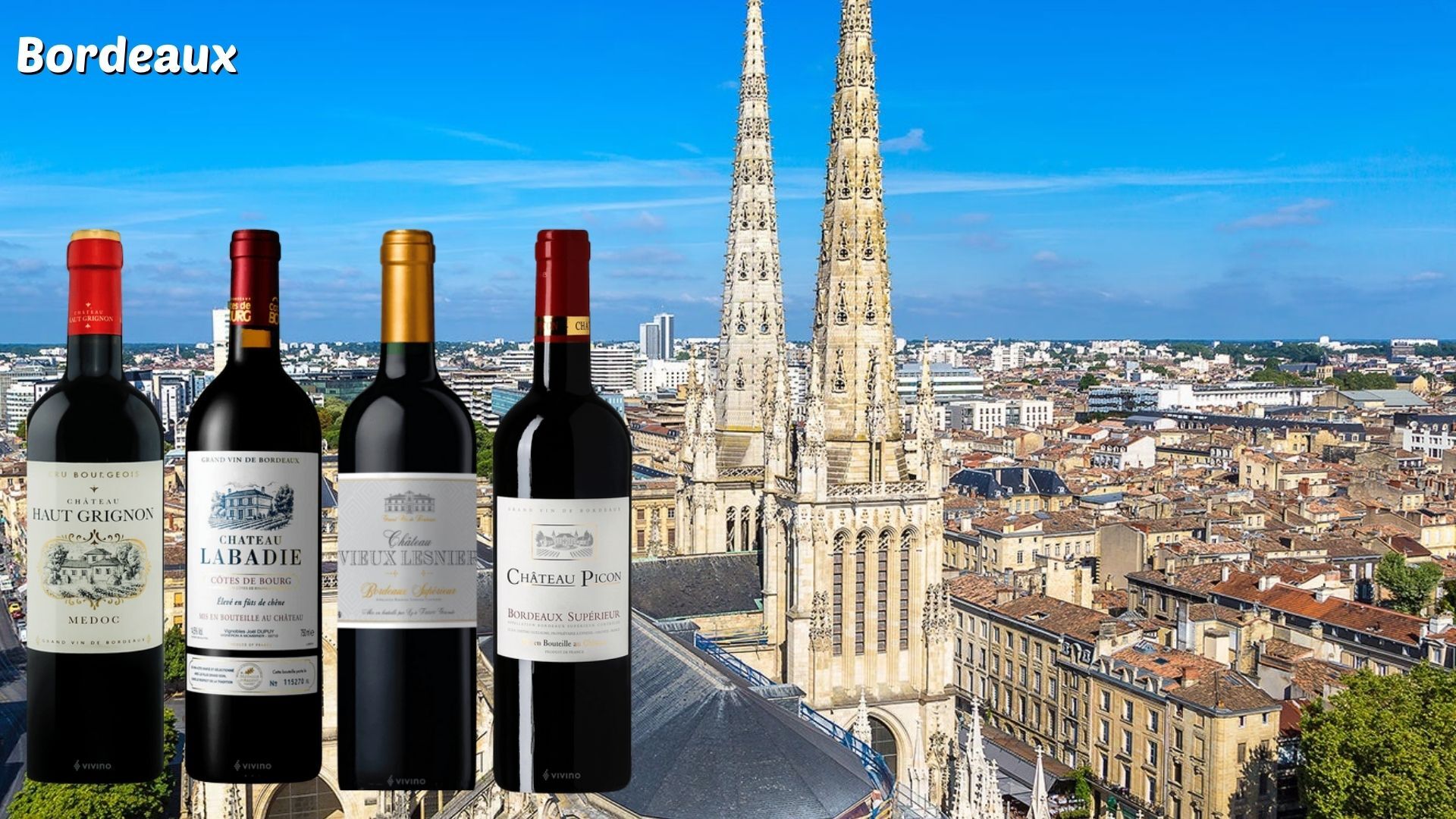 scheda vini bordeaux